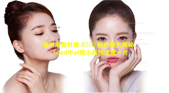 湖州溶脂针瘦 🍁 脸价格大揭秘「cad中al缩小后标注成一片」